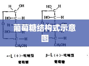 葡萄糖结构式示意图