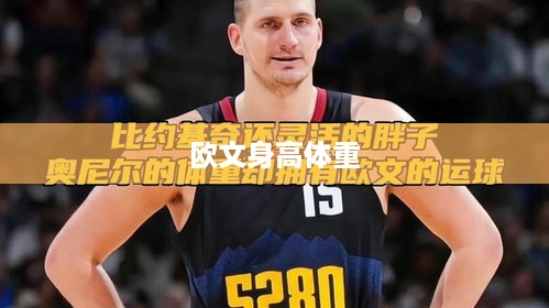 欧文的身高体重，欧文身高1米88，体重约为86公斤。
