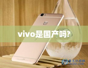vivo是国产品牌。