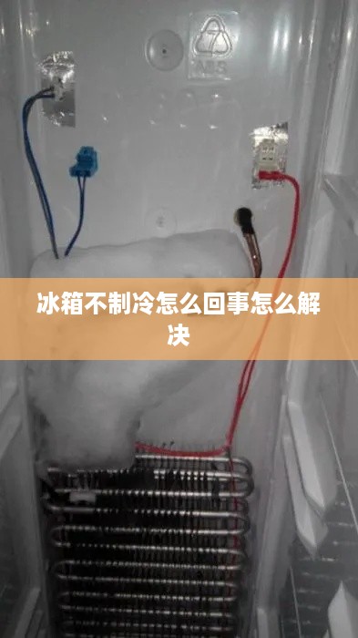 冰箱不制冷的原因及解决方法