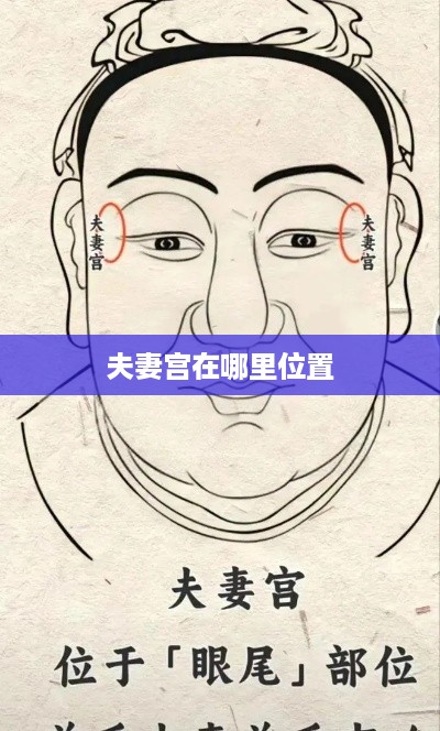 夫妻宫的位置，在面相学中，夫妻宫通常指的是眉毛尾部的太阳穴位置。