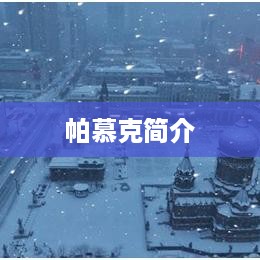 帕慕克简介