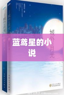 蓝鸢星的小说之旅