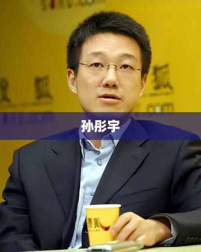孙彤宇，科技领域的创新领袖