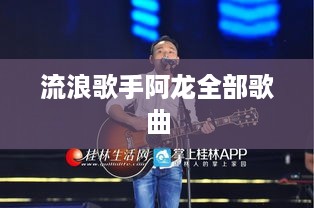 流浪歌手阿龙精选歌曲集