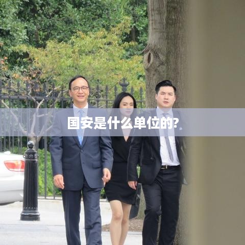国安是国家安全机关的单位。
