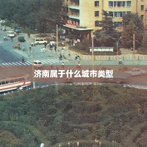 济南的城市类型，省会城市。