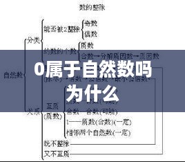 0是否属于自然数？原因解析