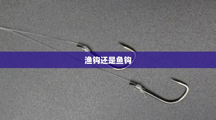 鱼钩，选择与使用指南