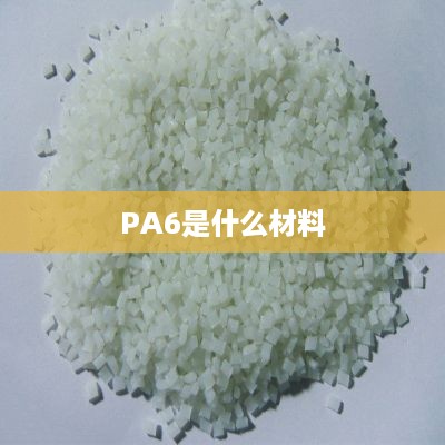 PA6的化学名称是聚酰胺6。