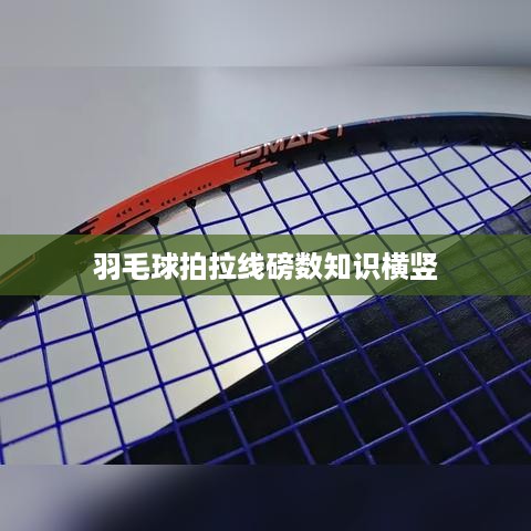 羽毛球拍拉线磅数知识，横竖线磅数解析
