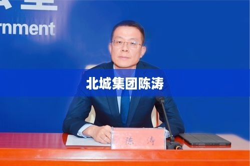 北城集团陈涛，企业领袖的崛起之路