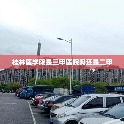 桂林医学院的医院等级为三甲医院。