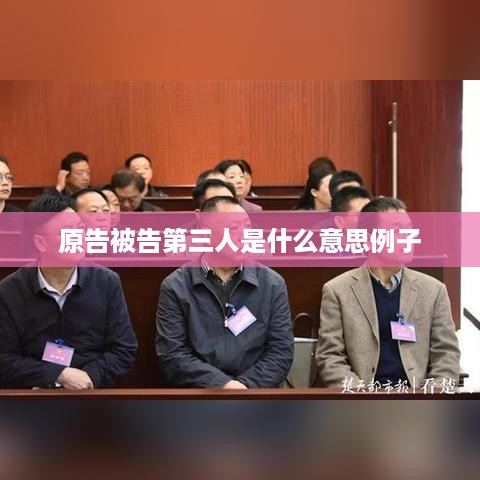 原告、被告与第三人的含义及例子