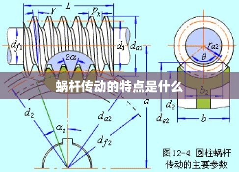 蜗杆传动的特点及其应用解析