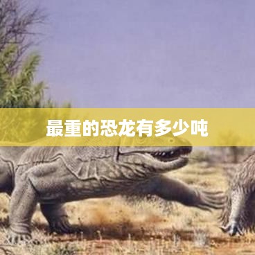 最重恐龙的重量，揭秘巨兽的惊人吨位