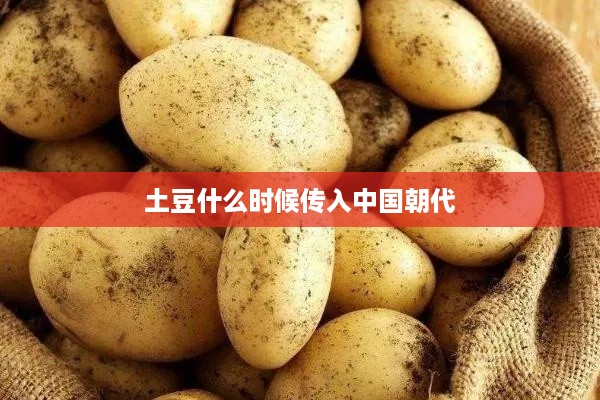 土豆传入中国的历史朝代
