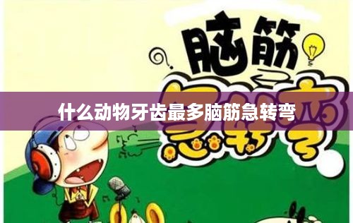 脑筋急转弯，牙齿最多的动物是什么？