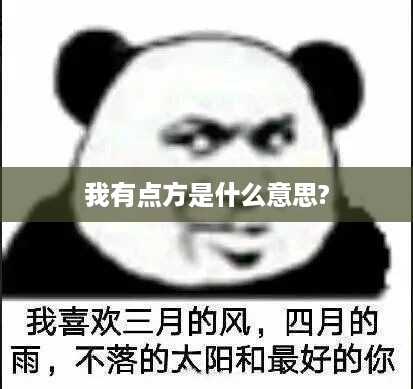 建议，我有点方的含义解析