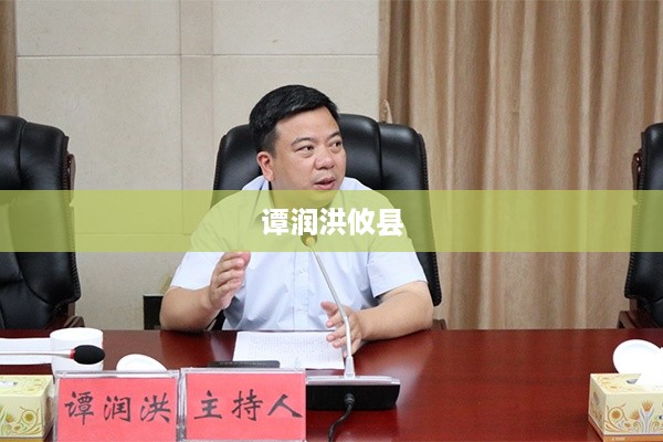 谭润洪与攸县的故事