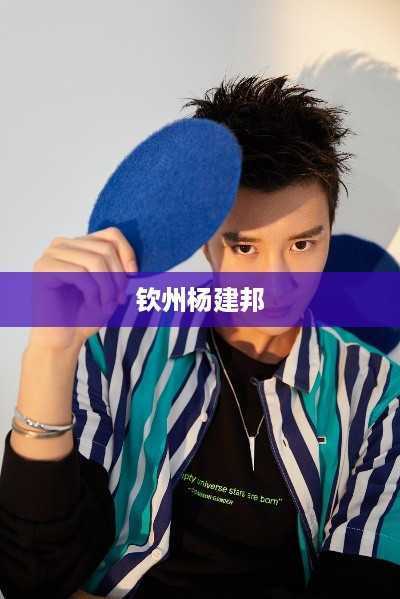 钦州杨建邦，一位地方英雄的传奇故事。