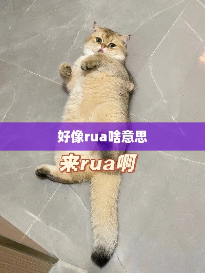  好像rua，rua的含义解析