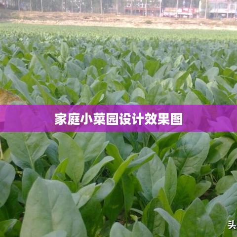 家庭小菜园设计效果图展示