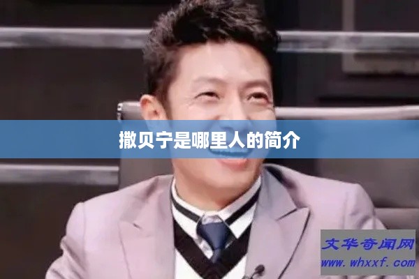 撒贝宁，央视名嘴的成长之路简介