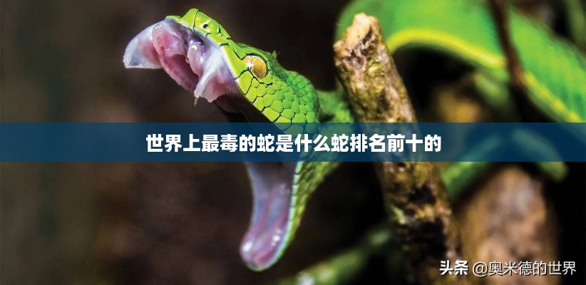 全球十大最毒蛇类排名，哪些蛇类位列其中？