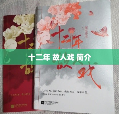 十二年故人戏简介