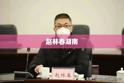 湖南的赵林春