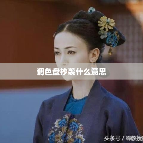 调色盘抄袭的含义  第1张