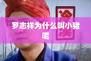 罗志祥被称为小猪的原因
