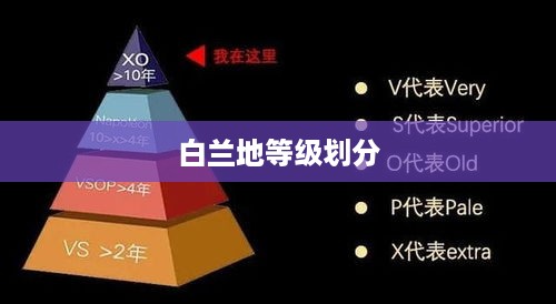 白兰地等级划分