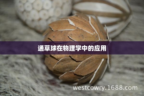 通草球在物理学中的应用，探索其原理与实例  第1张