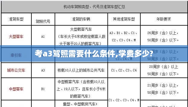 考A3驾照的条件及学费标准  第1张