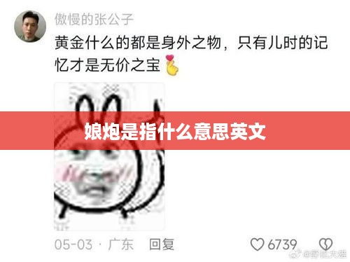 娘炮的英文含义是什么？