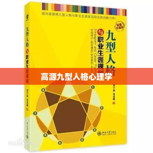高源九型人格心理学解析，探索人格类型与心理行为之道