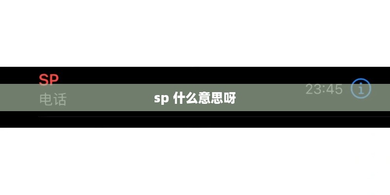 SP，含义解析
