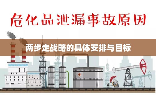 两步走战略的具体安排与目标