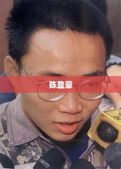 陈盈豪，一位杰出的人物。