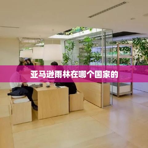 亚马逊雨林的主要部分位于南美洲的巴西。