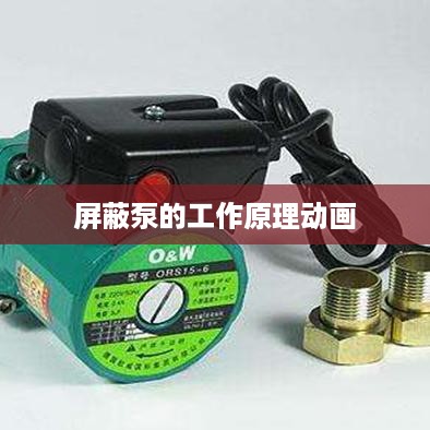 屏蔽泵工作原理动画解析