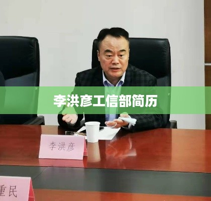 李洪彦工信部的工作经历简介