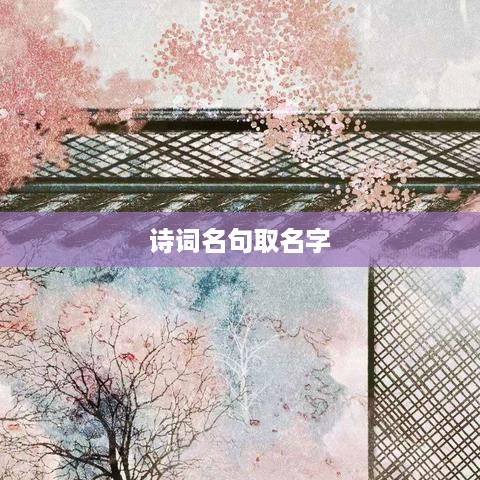 诗词精华取名艺术——名句灵感之名  第1张