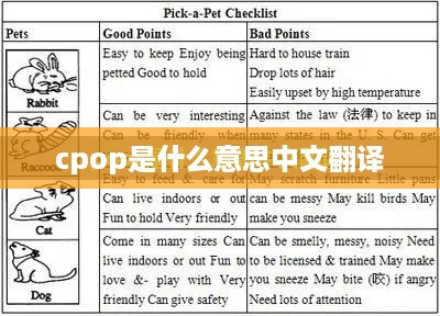 CPOP的中文翻译是中国流行音乐。