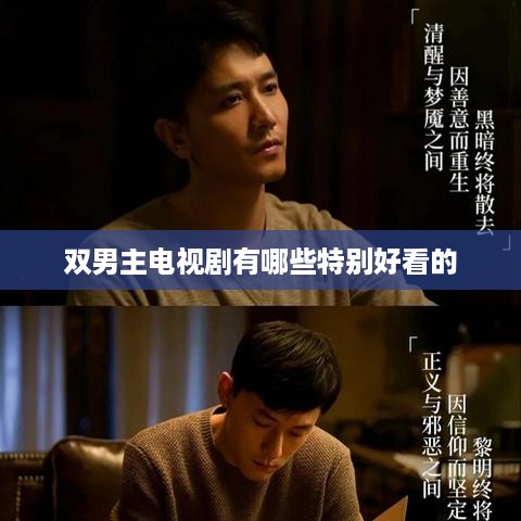 双男主电视剧推荐，哪些特别好看的？