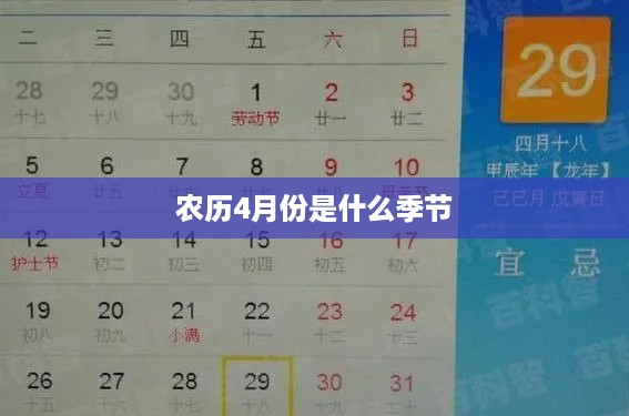农历4月份的季节是夏季。  第1张