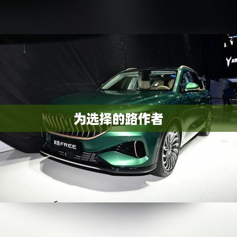 为选择的路，作者心声与人生抉择