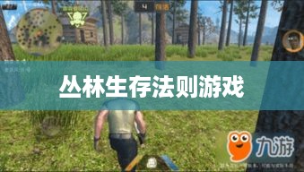 丛林生存法则游戏，挑战与冒险的生存之旅